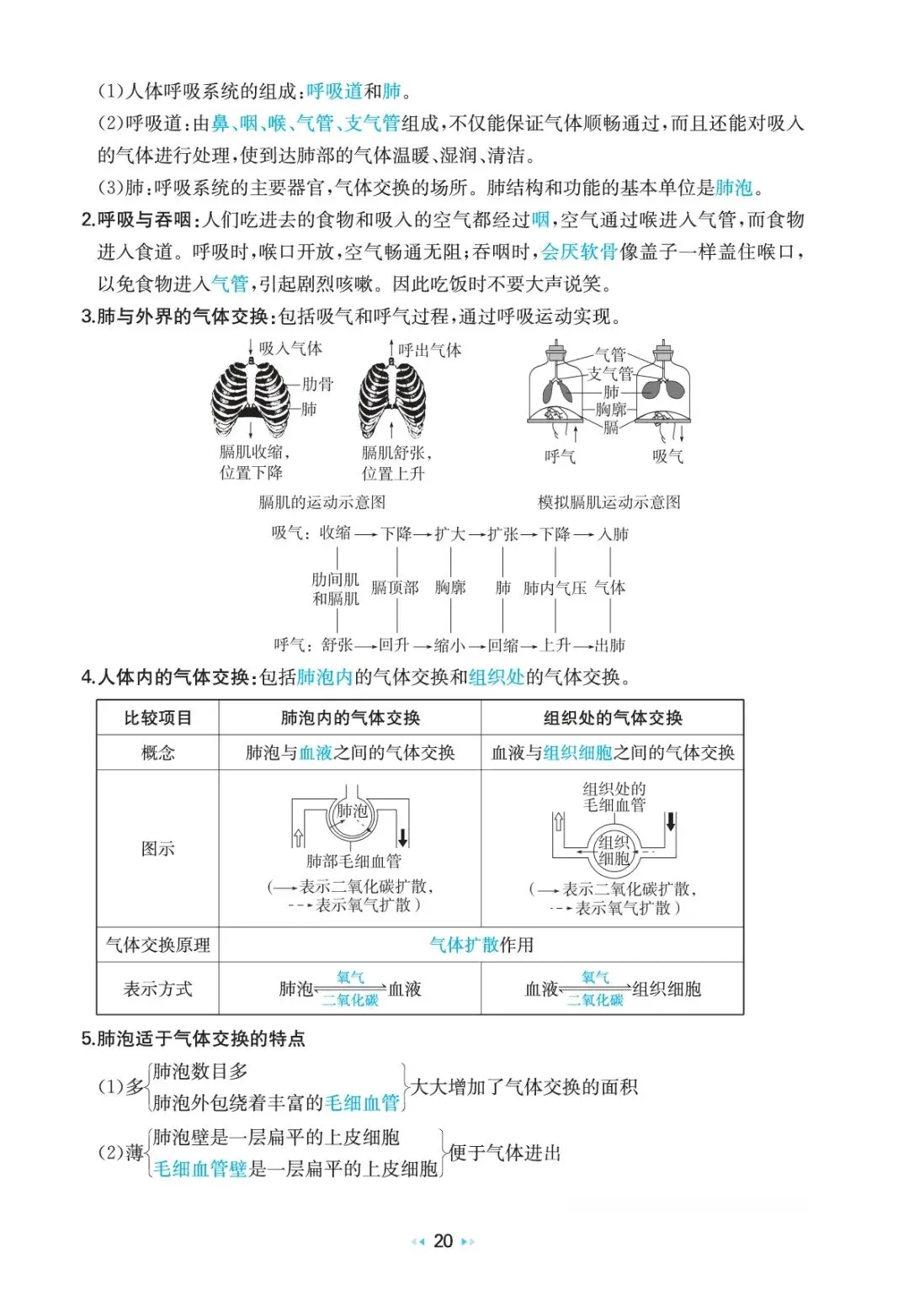 中考生物复习 | 考前重要知识点总结 第18张