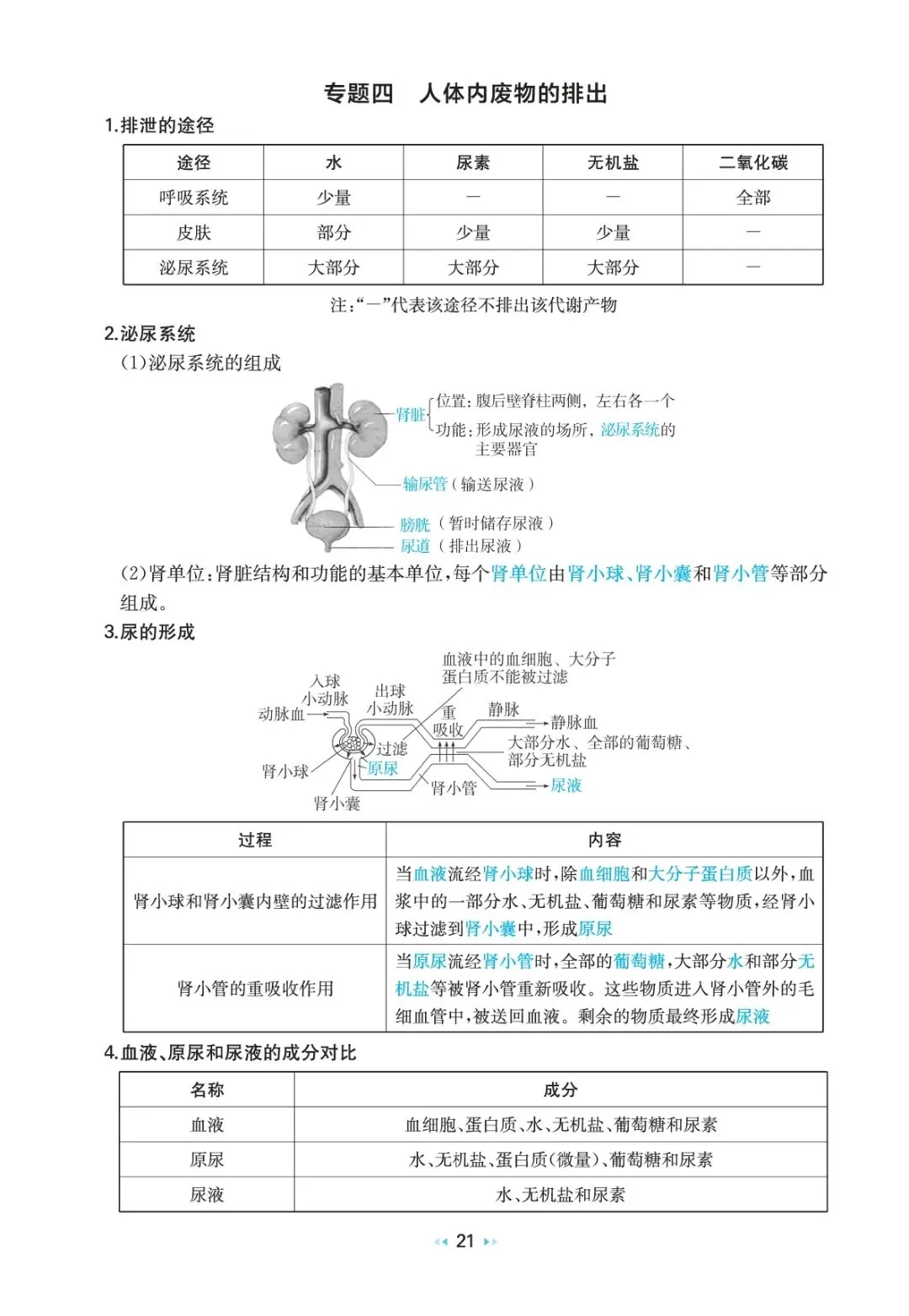 中考生物复习 | 考前重要知识点总结 第19张