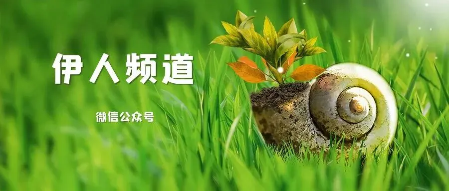 中考语文复习——小说题型训练之人物形象分析类 第2张