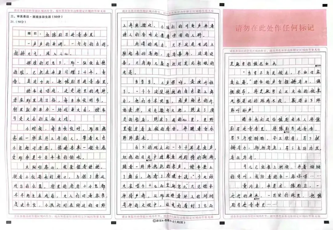 【1518】《为何儿子中考模考作文仅得了38分》 第1张