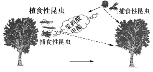 好试卷分享:2025年平顶山市中招学科第二次调研考试及答案 第3张