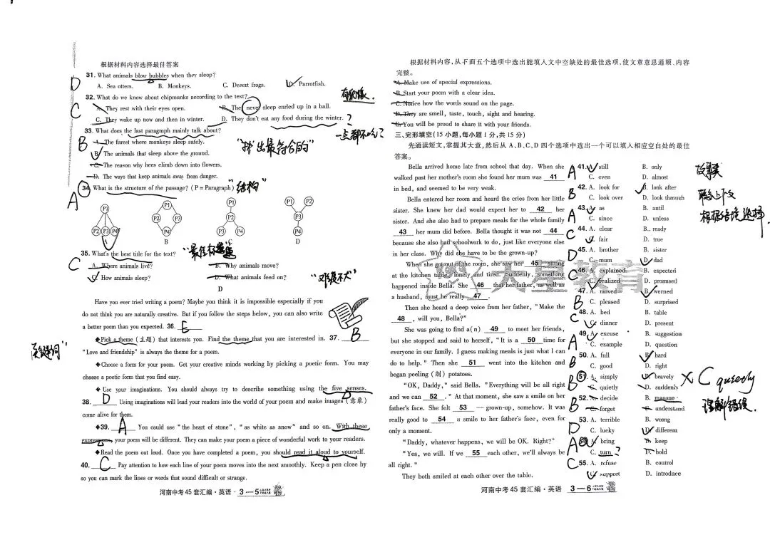 关于2022年河南省中考英语试卷的一些想法 第3张