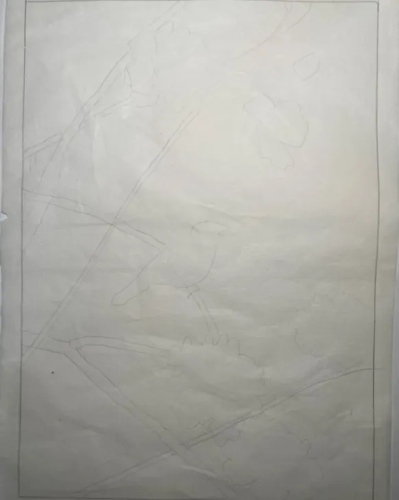 工笔带画 | 湖南师范大学真题工笔花鸟带画免费分享~ 第4张