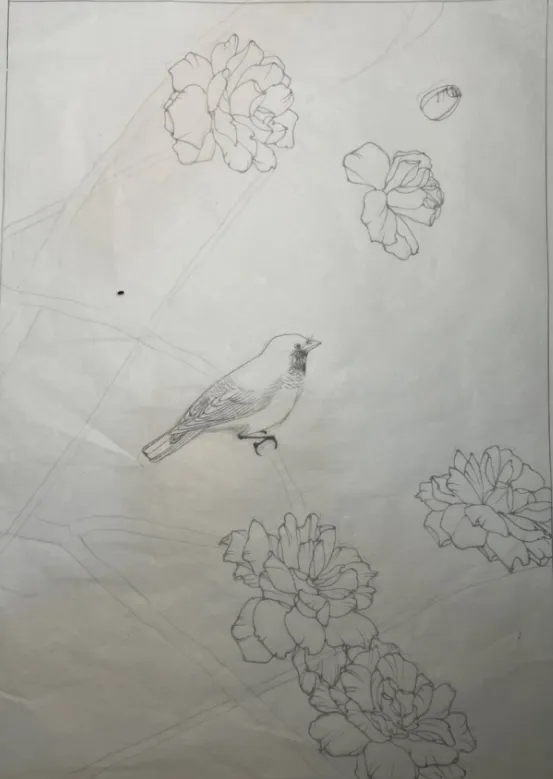 工笔带画 | 湖南师范大学真题工笔花鸟带画免费分享~ 第6张
