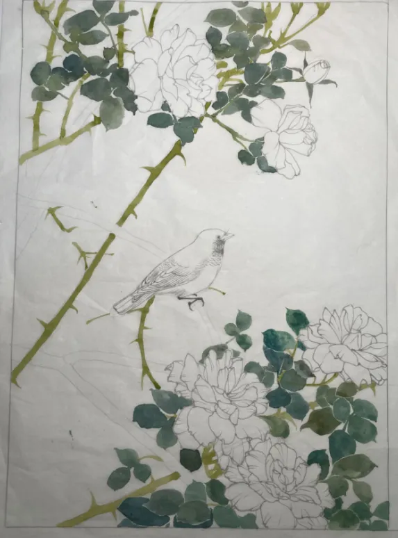工笔带画 | 湖南师范大学真题工笔花鸟带画免费分享~ 第8张