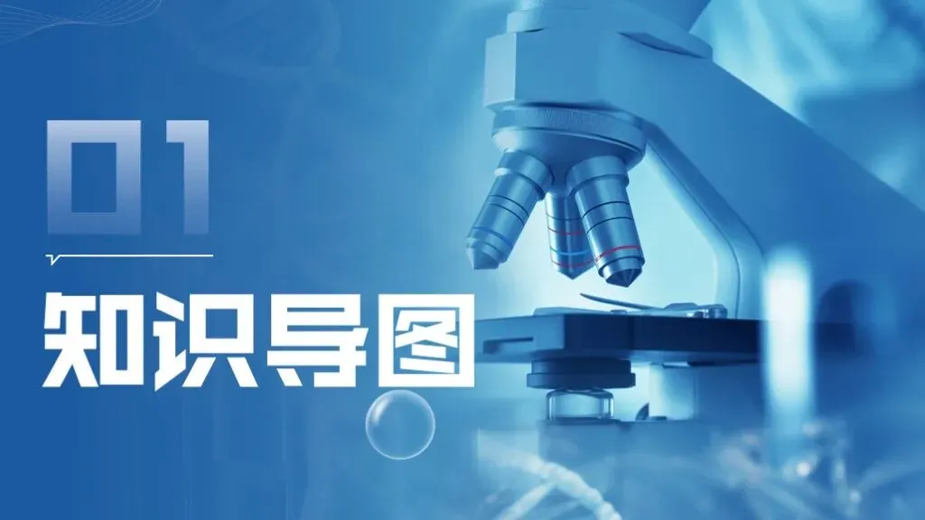 ��【2026中考】化学专题复习01《物质的变化和性质》精品课件+教学设计 第4张