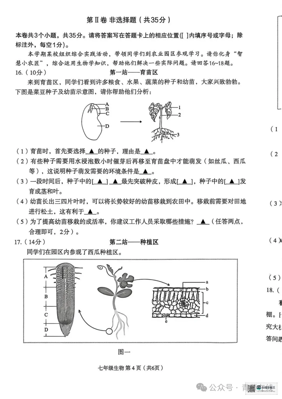 2026.4临汾七年级下学期期中全学科试卷含答案(可下载) 第70张
