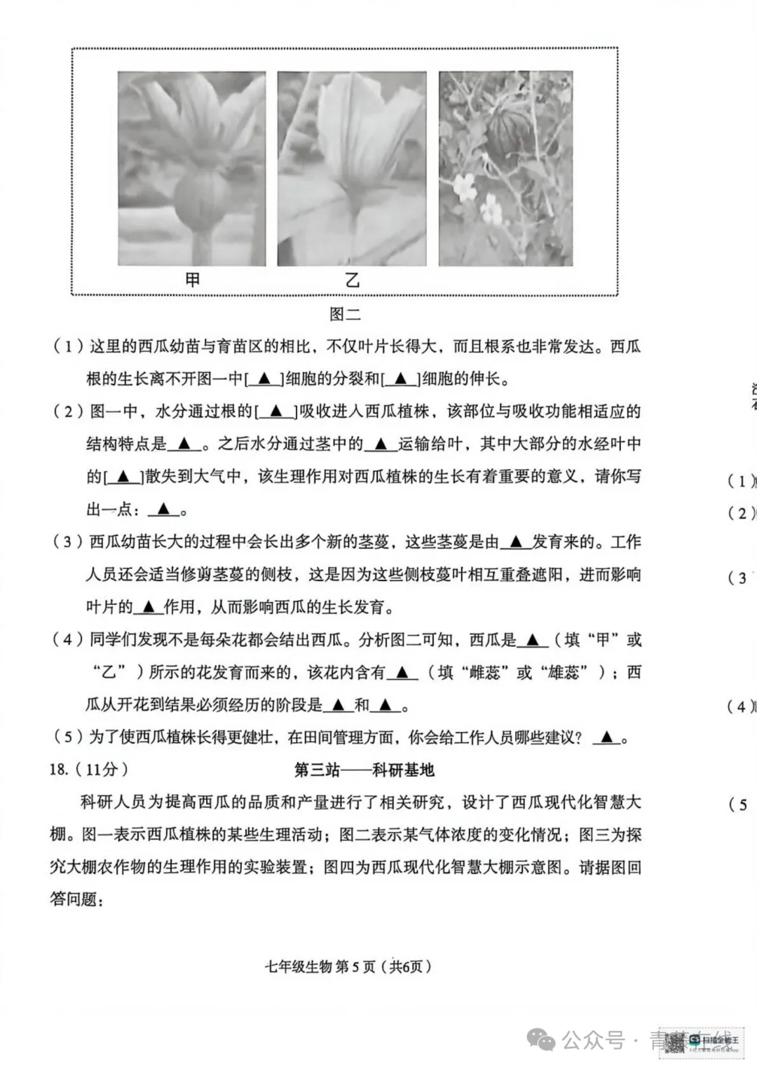 2026.4临汾七年级下学期期中全学科试卷含答案(可下载) 第71张