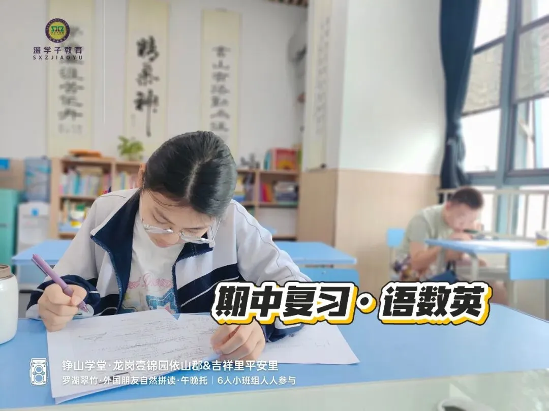 深中龙初联考期中卷七下数学(2026真题) 第8张