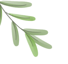 【中考生物】必背核心知识点,轻松搞定生物基础(上篇) 第1张
