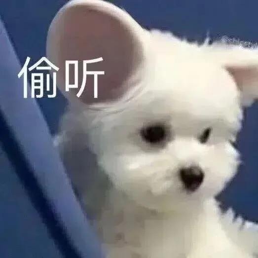 为什么高考要比一模、二模考得好? 第2张