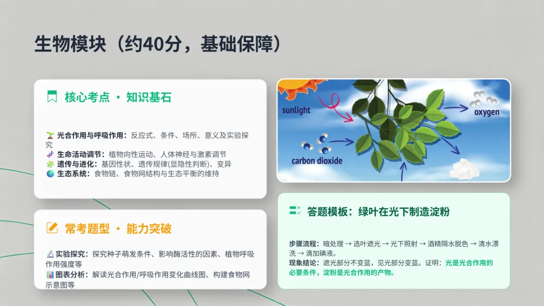 2026年简要版浙江中考科学解析 第16张