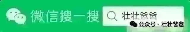 2026中考语文 · 考场高分作文模板汇编(116) 第1张