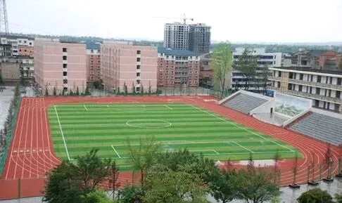 2026中考家长同学必看!2025广安各校录取分数线榜单,附带本科率、学校优势全汇总 第9张