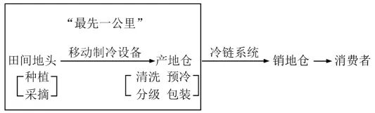 冲刺提分真题练——考点28 农业的区位选择(原卷版) 第19张