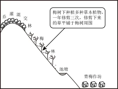 冲刺提分真题练——考点28 农业的区位选择(原卷版) 第31张