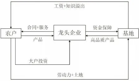 冲刺提分真题练——考点28 农业的区位选择(原卷版) 第42张
