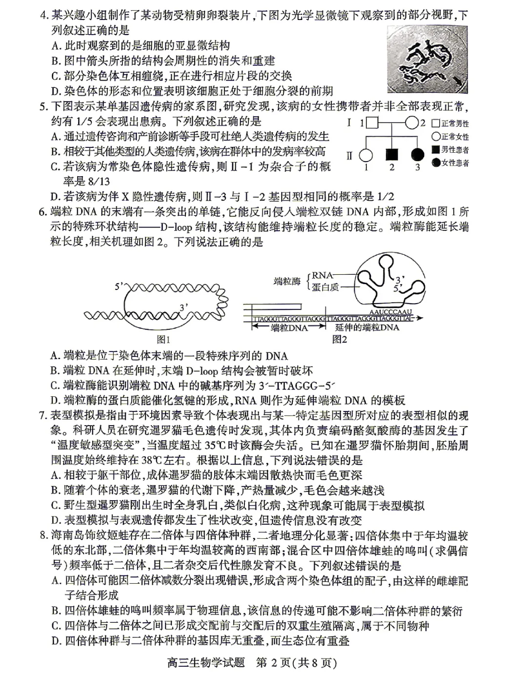 湖北2026届高三4月调研模拟考试生物学试题及答案 第4张