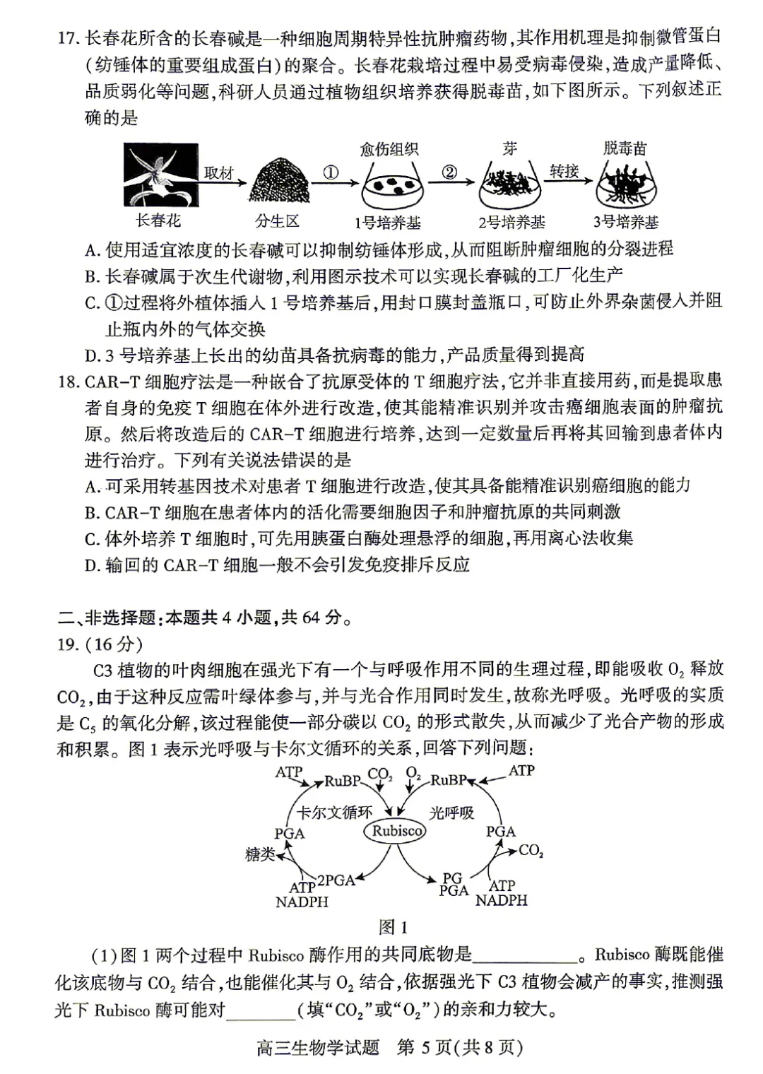 湖北2026届高三4月调研模拟考试生物学试题及答案 第7张
