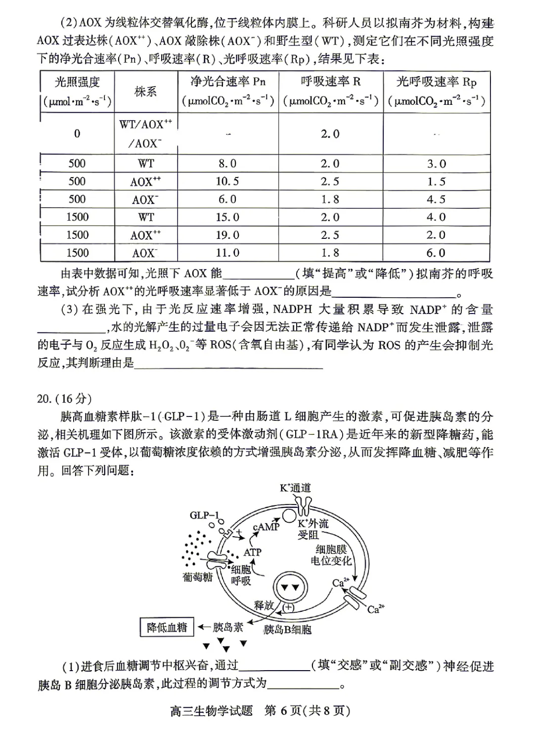湖北2026届高三4月调研模拟考试生物学试题及答案 第8张