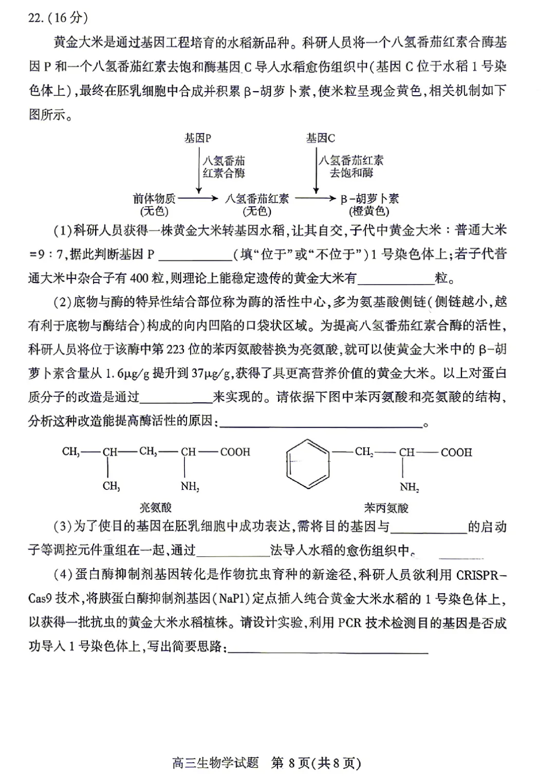 湖北2026届高三4月调研模拟考试生物学试题及答案 第10张