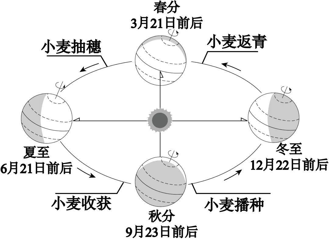 2026年山东德州市乐陵市中考一模地理试题 第1张