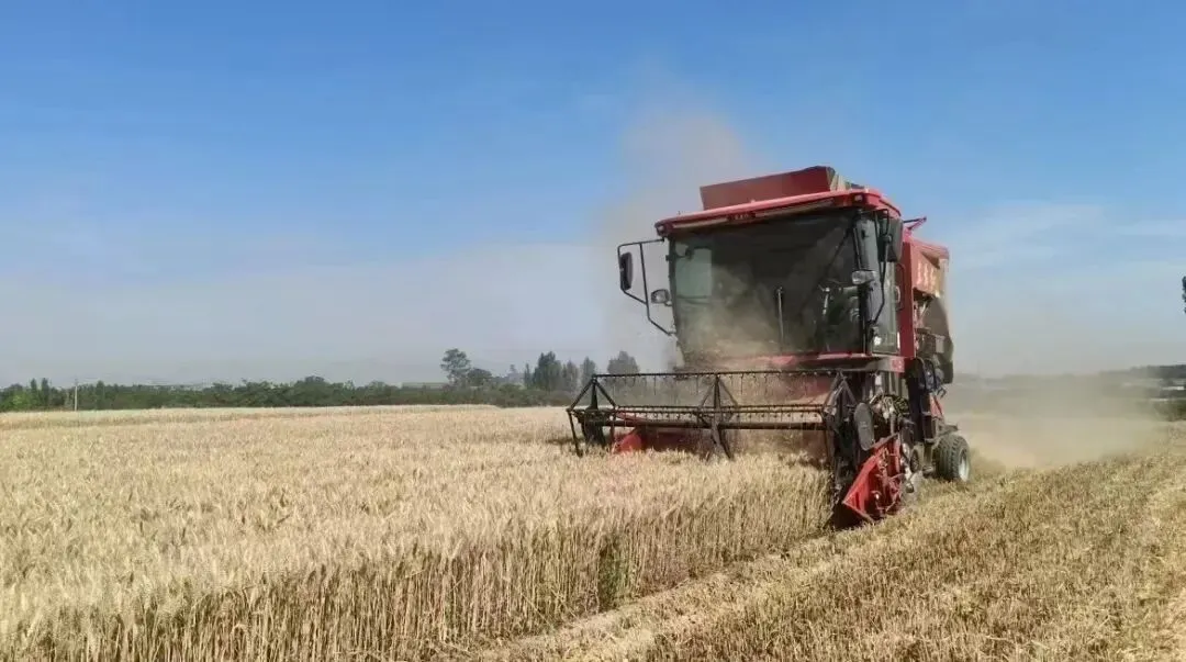 临汾市区这些路段免费停车/中考在即,临汾交警最新发布/壶口瀑布出现黄色瀑布群景观 第20张