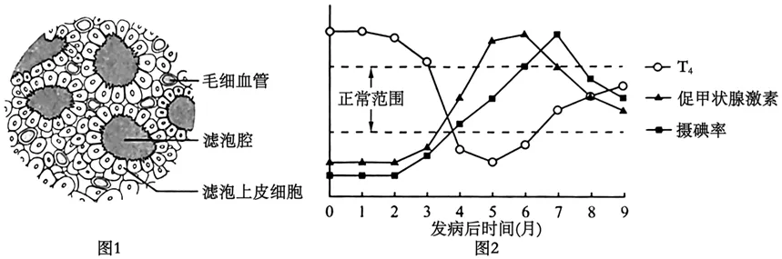 2025年北京高考生物试卷、答案和官方解析 第6张