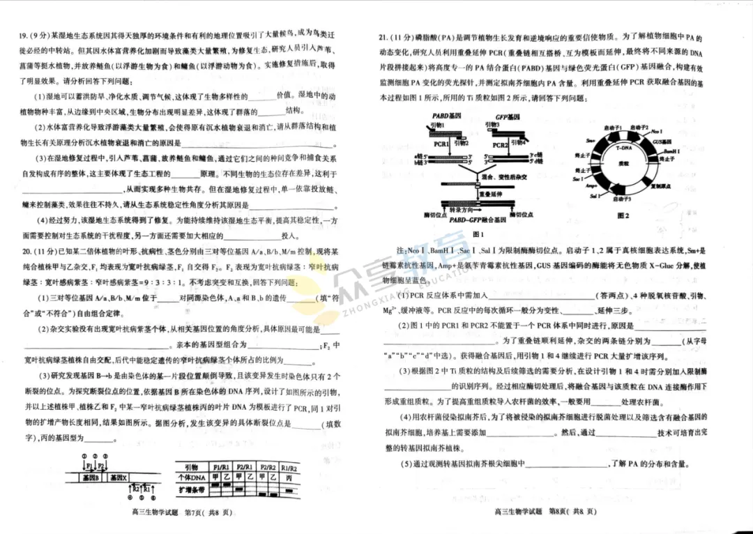 【高三试卷】河南五市2026年高中毕业年级第二次质量监测试卷及答案(9科全,可下载) 第44张