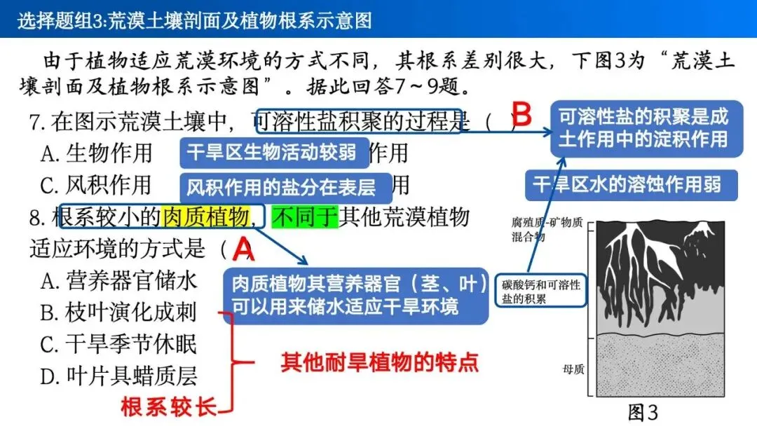 【真题解析31】2025年高考地理试题解析——江苏卷 第16张