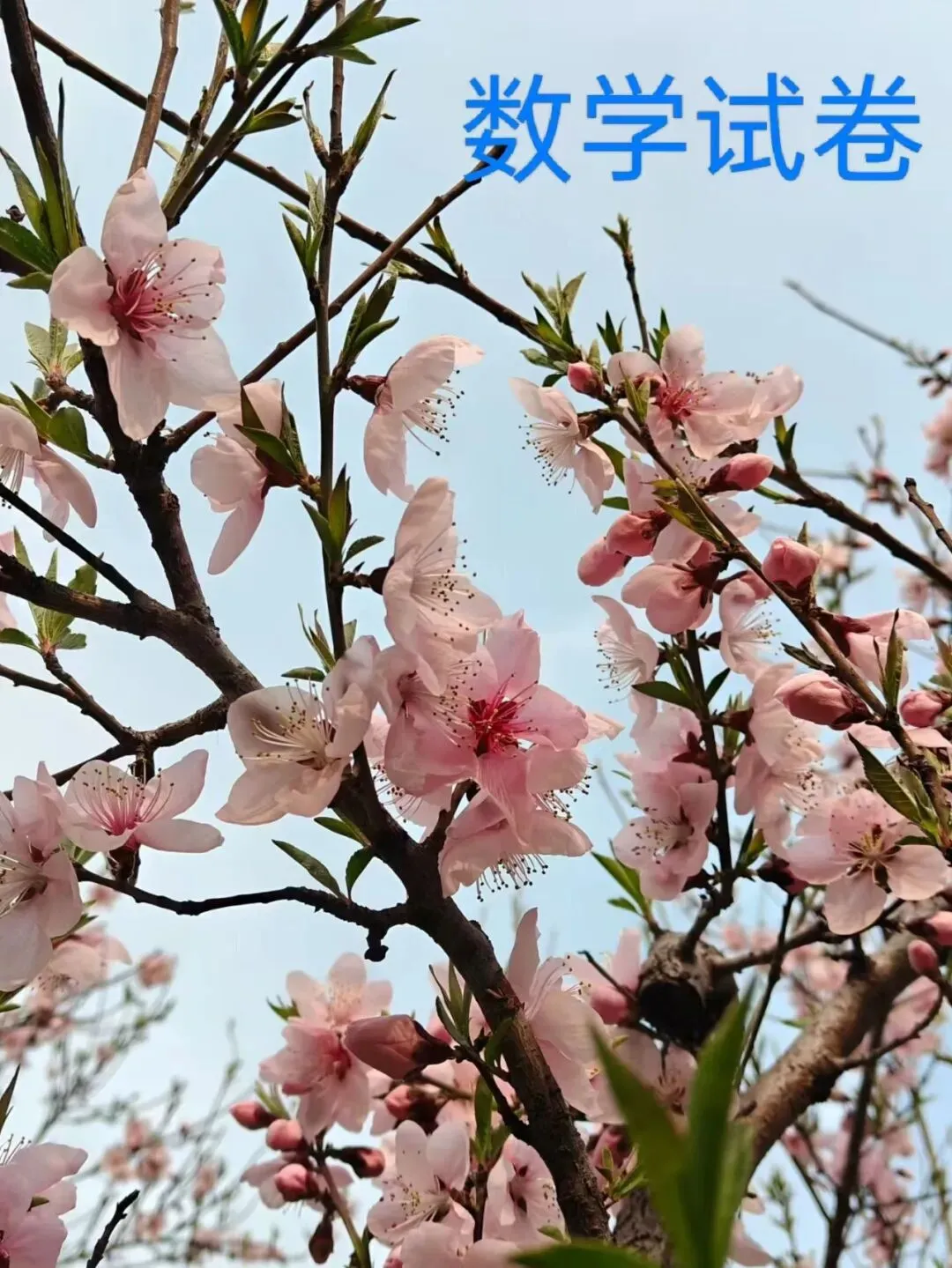 高一4月份数学月考试卷(即期中考试试卷) 第11张