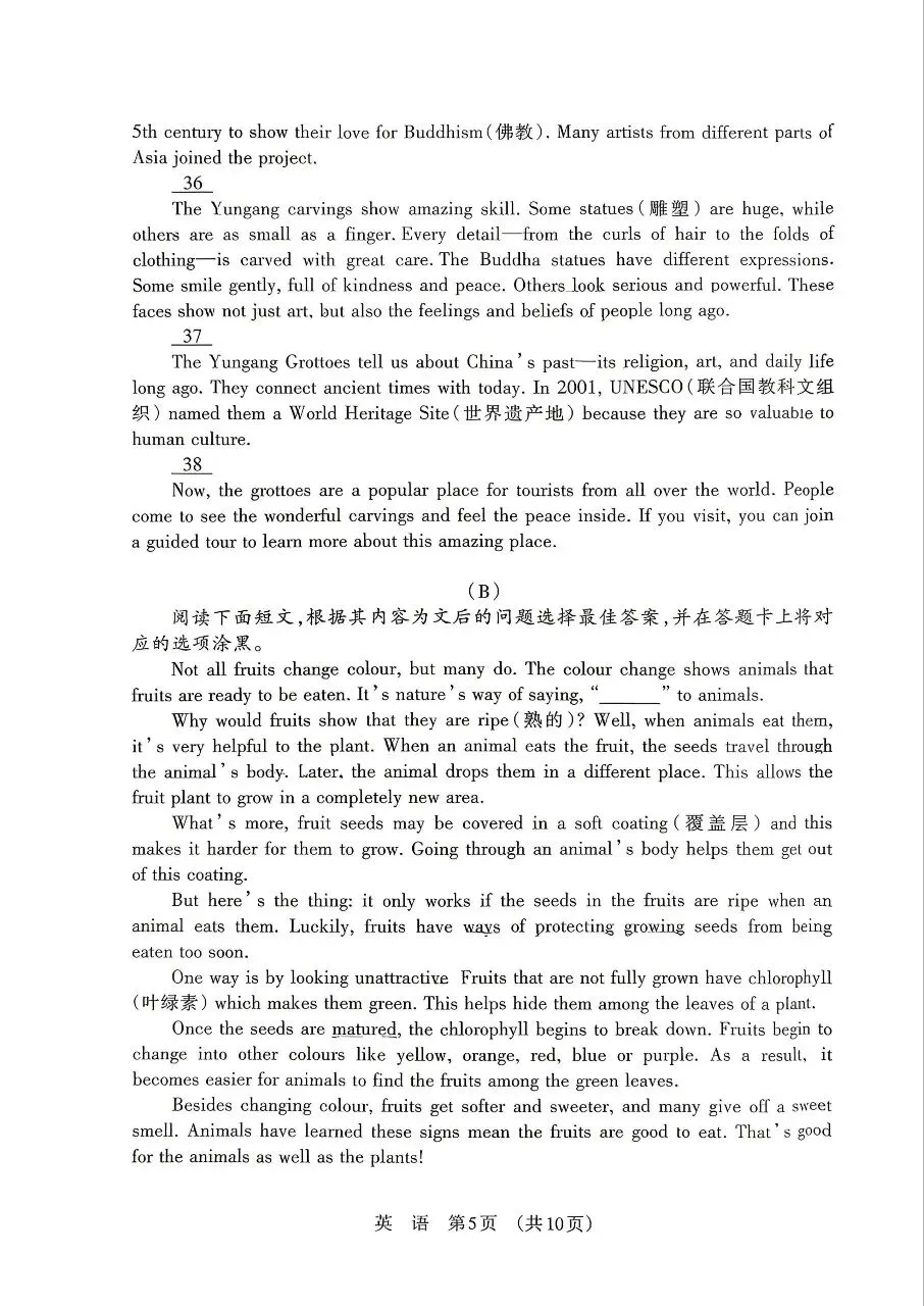 【九试卷】2026年中考模拟练习,英语试卷2-1(差第9页) 第5张