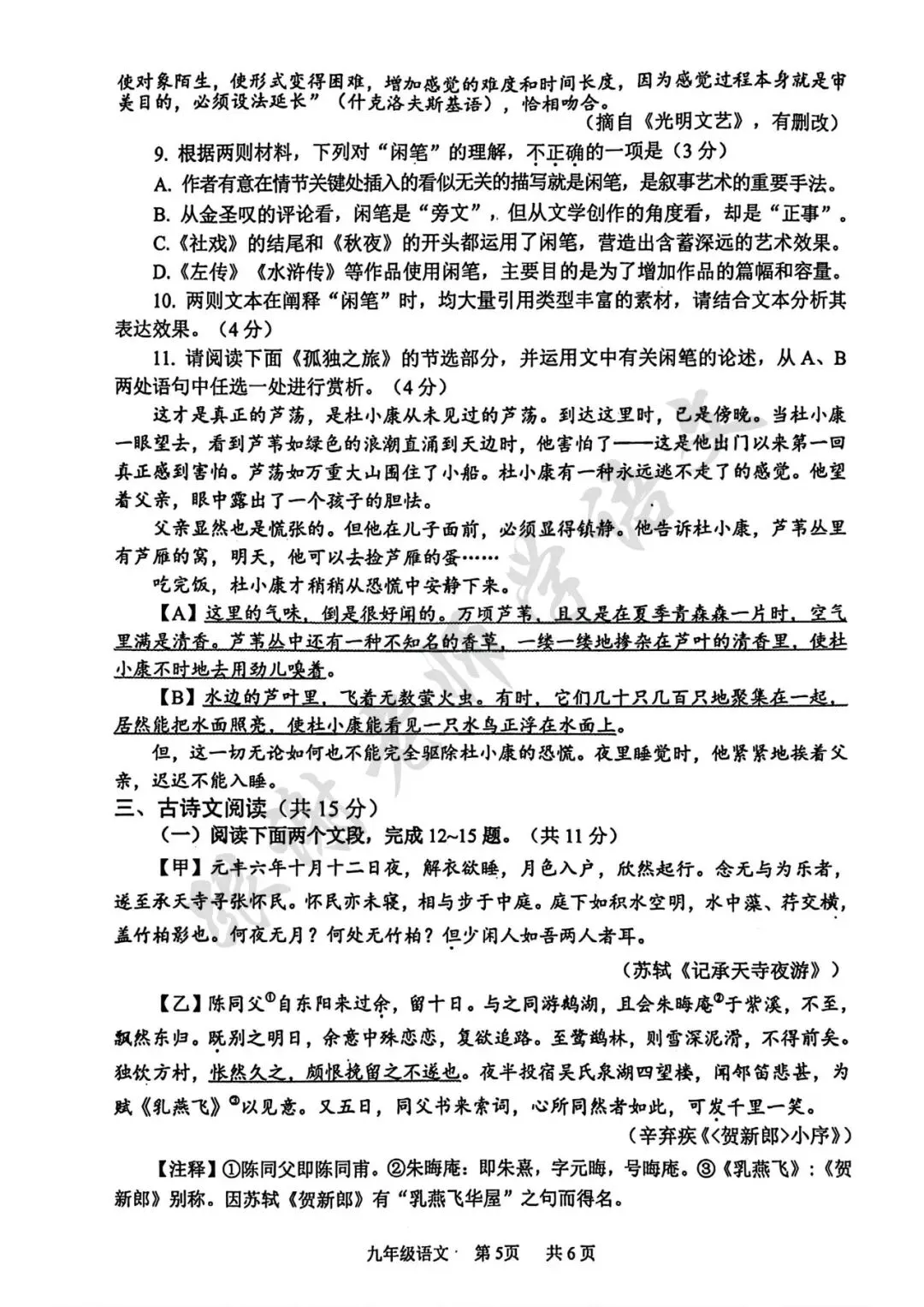 2026年安阳市中考一模语文试题及参考答案 第5张