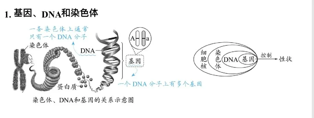 初中生物学中考总复习重难点突破 第1张