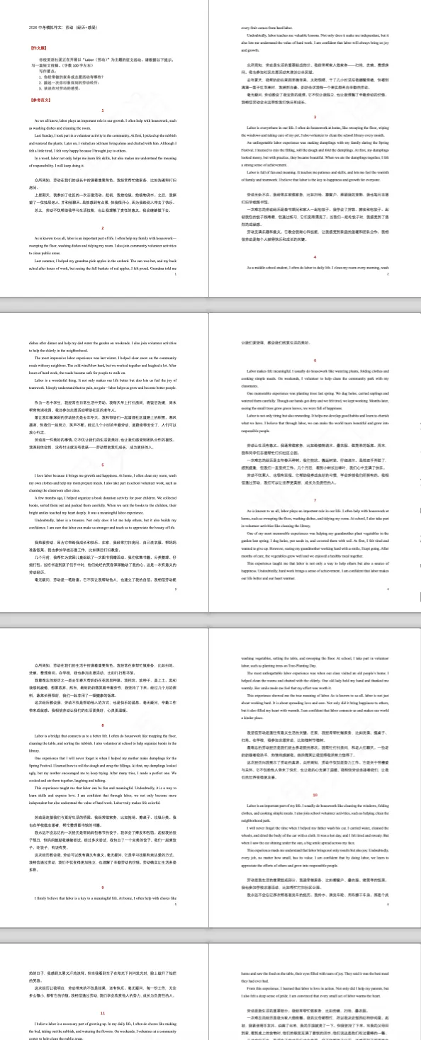 「260503」2026中考模拟作文:劳动(经历+感受) 第3张