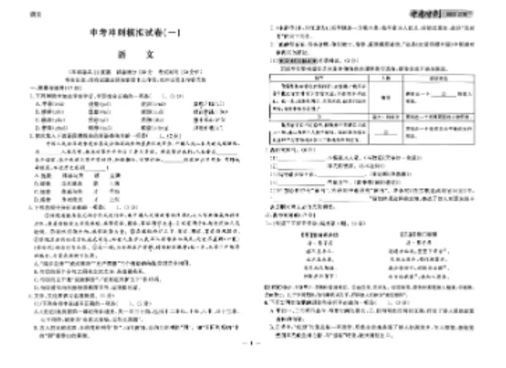 《点石成金中考冲刺模拟试卷》2026版语文数学英语物理化学道德与法治丨PDF电子版,可下载打印 第2张