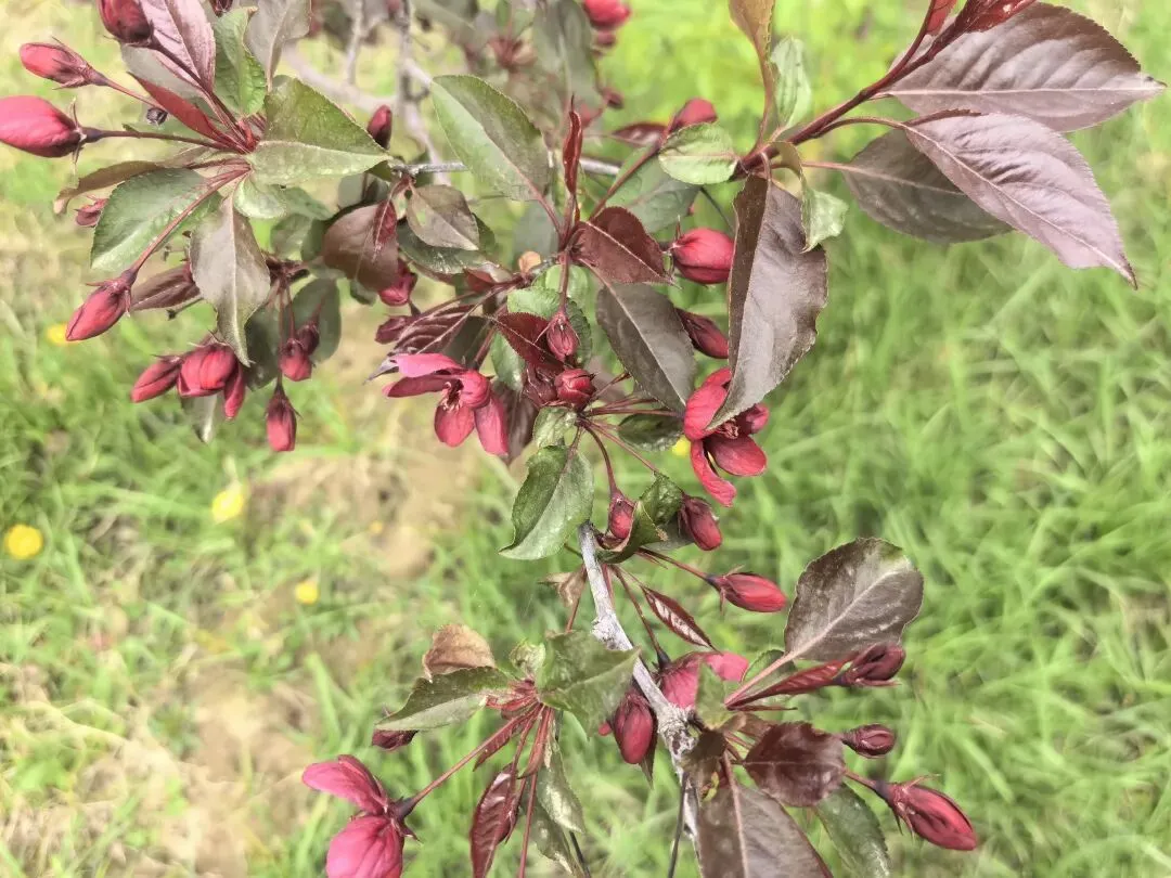 中考作文 人生加减法,择友赴芳华 第3张