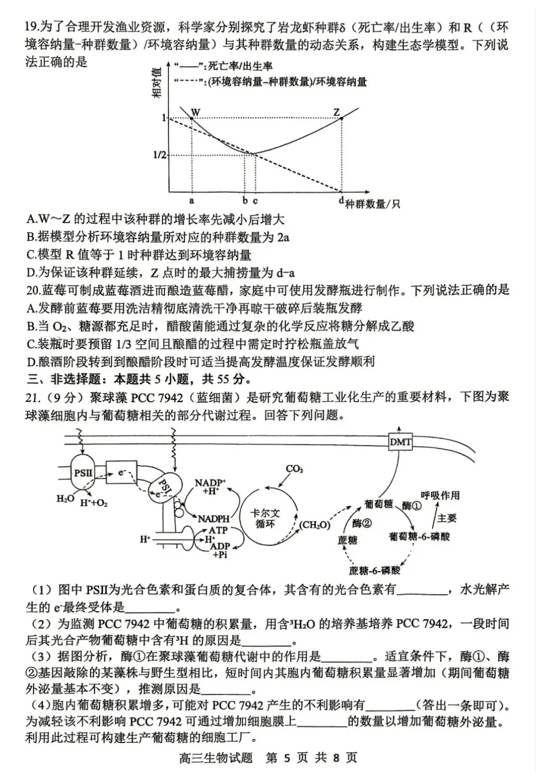 山东泰山教育联盟2026届高三4月考试模拟生物学试题及答案 第5张