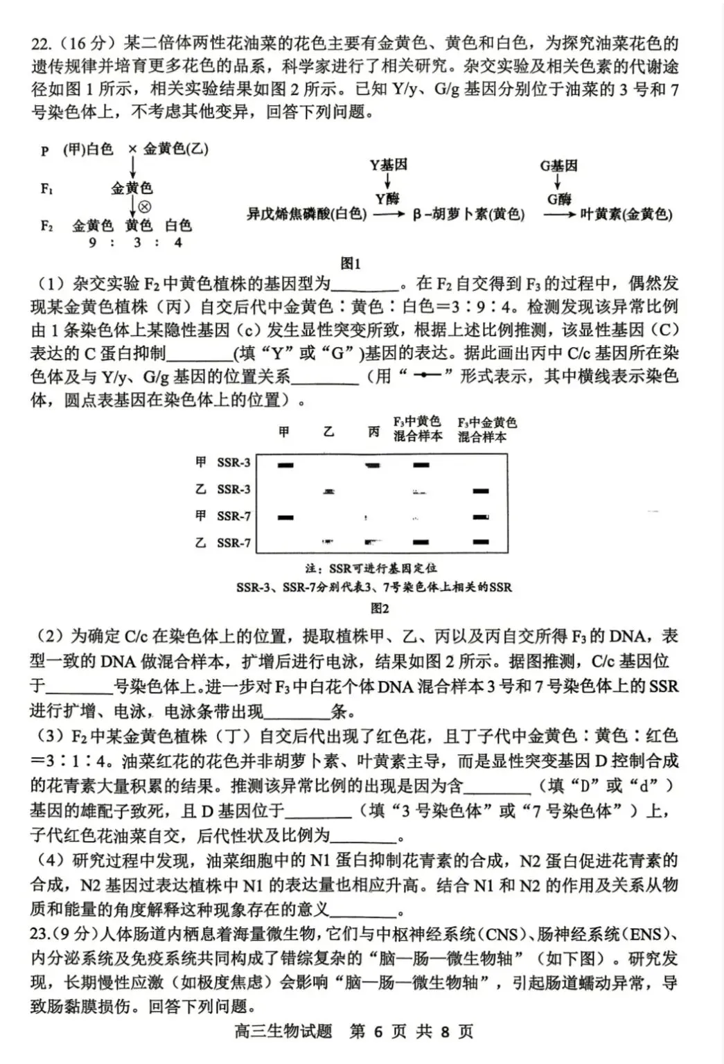 山东泰山教育联盟2026届高三4月考试模拟生物学试题及答案 第6张