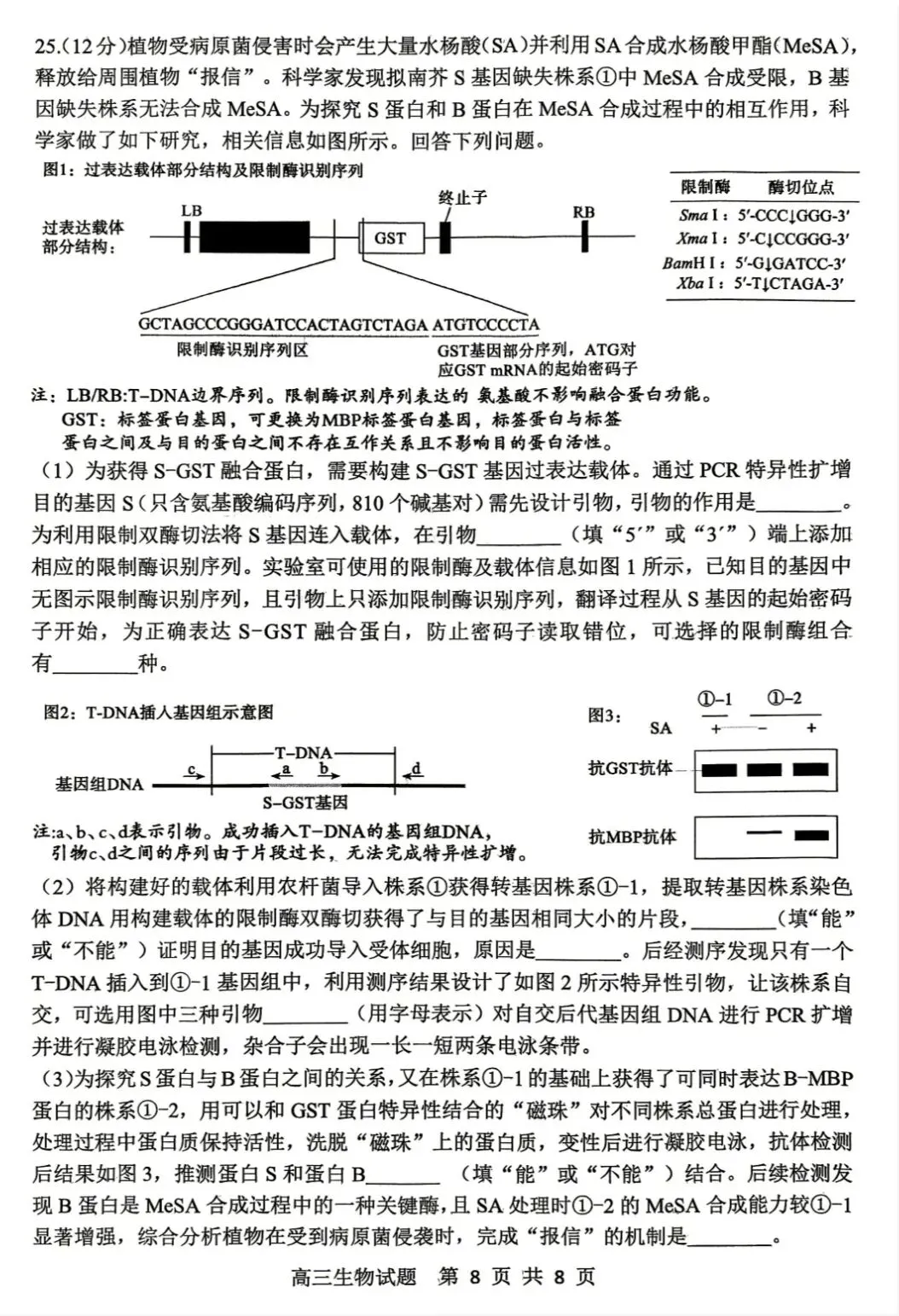 山东泰山教育联盟2026届高三4月考试模拟生物学试题及答案 第8张