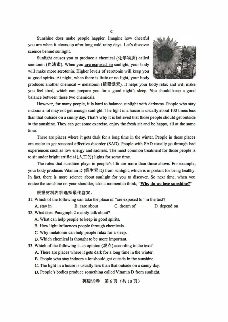 2025年河南省中考英语真题含答案+听力MP3 第6张