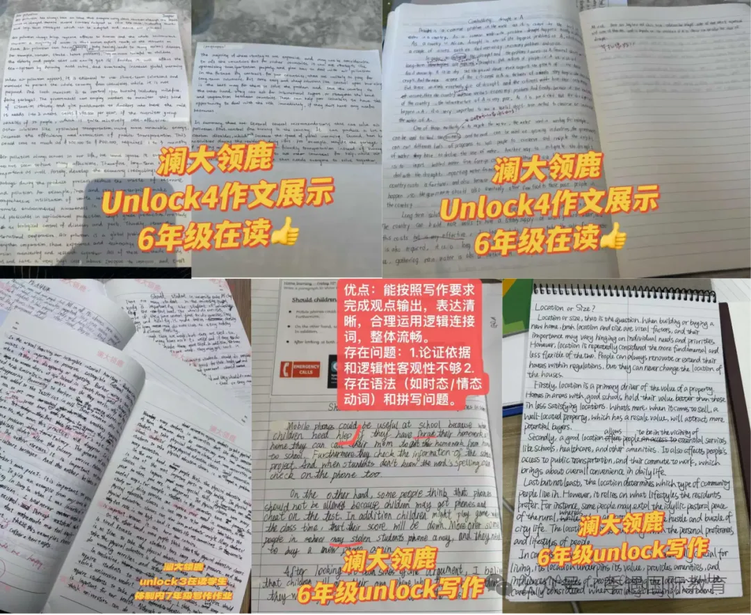 课时减少、取消期中考!小学英语“躺平”?别慌,这样做才是最优解 第29张