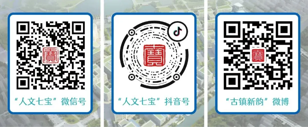 中考升学不迷茫!七宝这场讲座全是干货 第22张