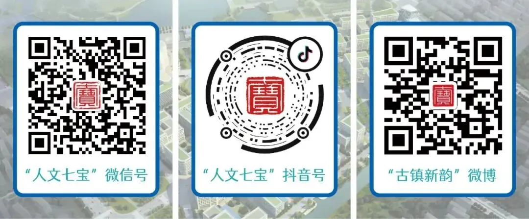中考升学不迷茫!七宝这场讲座全是干货 第23张