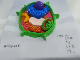 致中考少年・五十天逐梦 | 衡水滏阳中学邀你同行 第86张