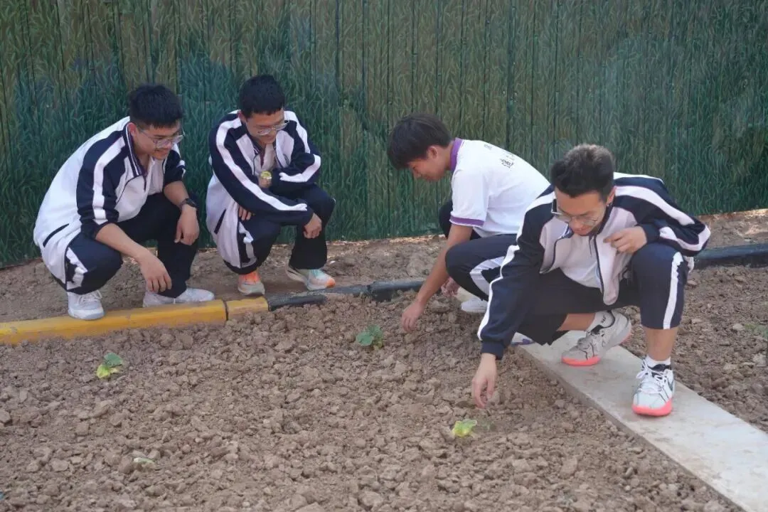 致中考少年・五十天逐梦 | 衡水滏阳中学邀你同行 第142张