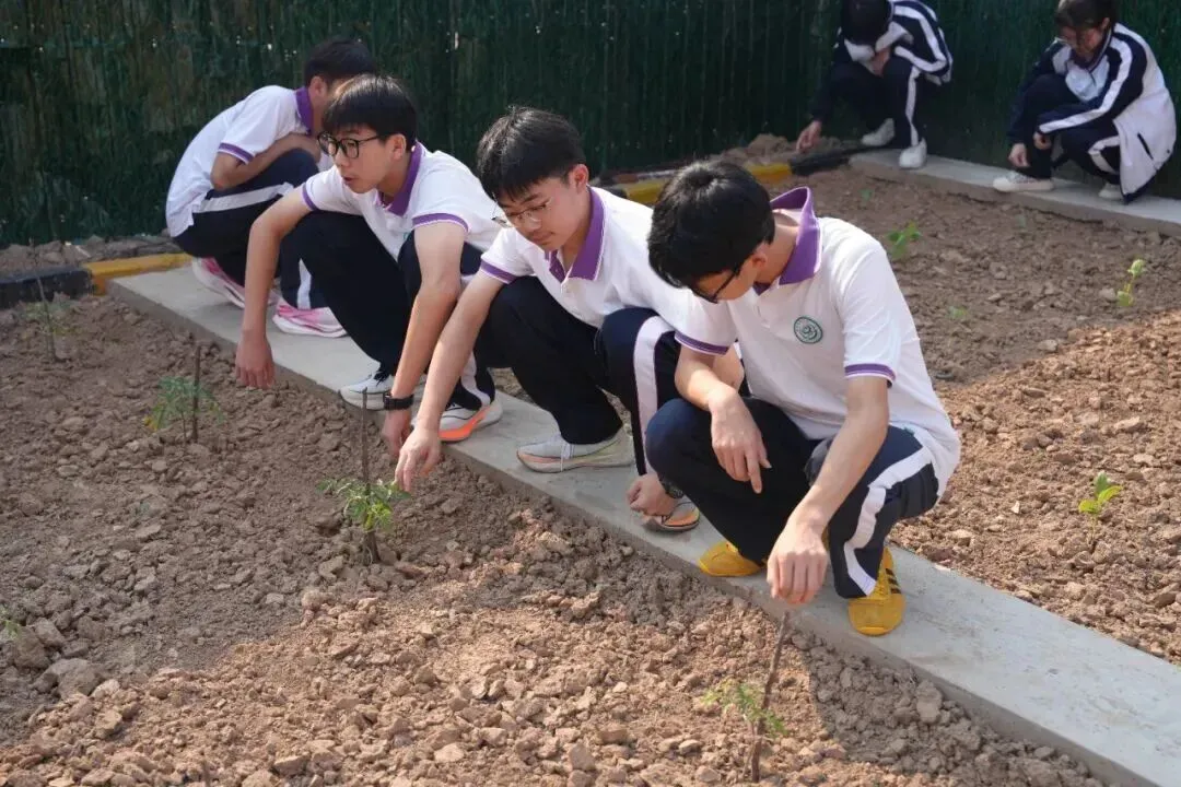 致中考少年・五十天逐梦 | 衡水滏阳中学邀你同行 第145张