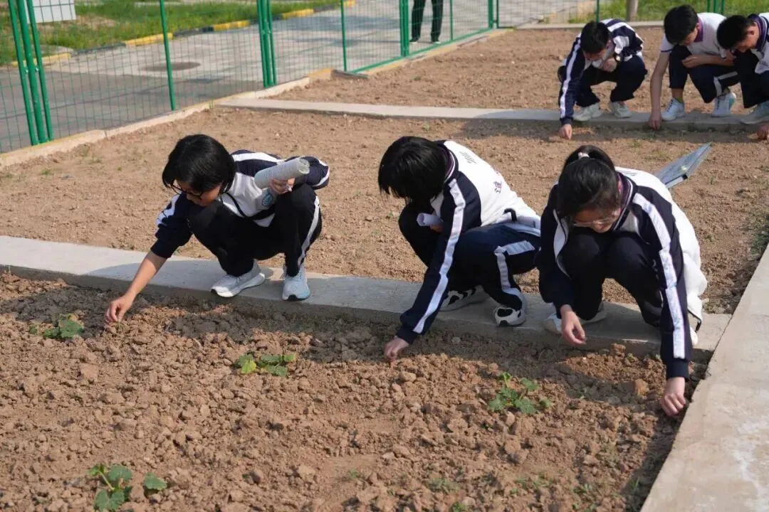 致中考少年・五十天逐梦 | 衡水滏阳中学邀你同行 第146张