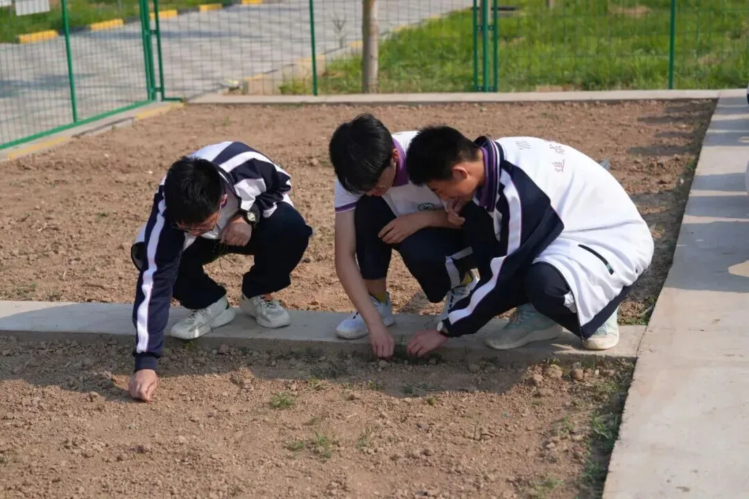 致中考少年・五十天逐梦 | 衡水滏阳中学邀你同行 第147张