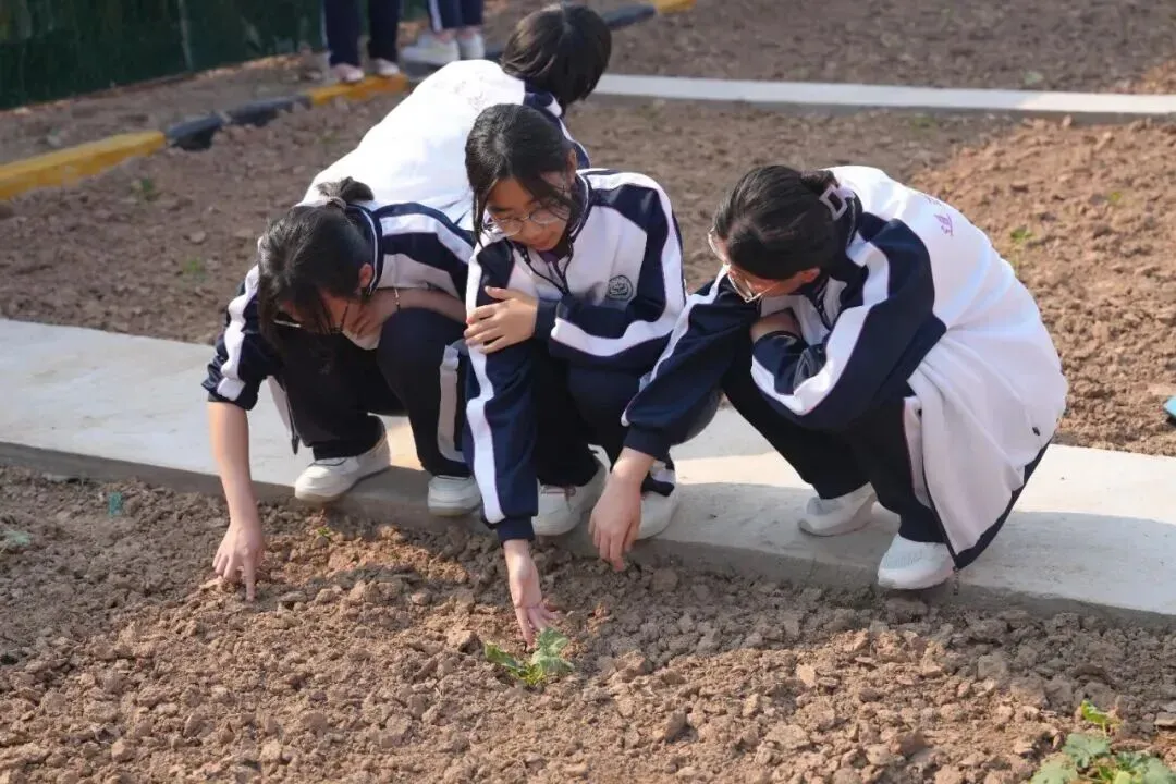 致中考少年・五十天逐梦 | 衡水滏阳中学邀你同行 第148张